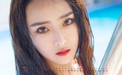 毕加猪全集高清